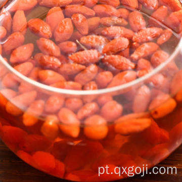 Baia de Goji Orgânica Orgânica de Ningxia com baixo preço